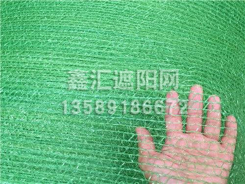 两针加密防尘网